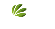 Dům dětí a mládeže OSTROV Slaný